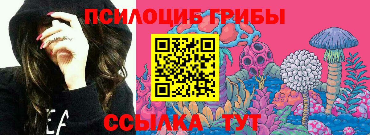 Псилоцибиновые грибы прущие грибы  Вход с VPN  Нурлат 